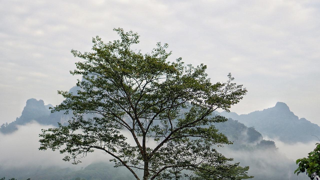 Khaowong Resort Phang Nga Dış mekan fotoğraf