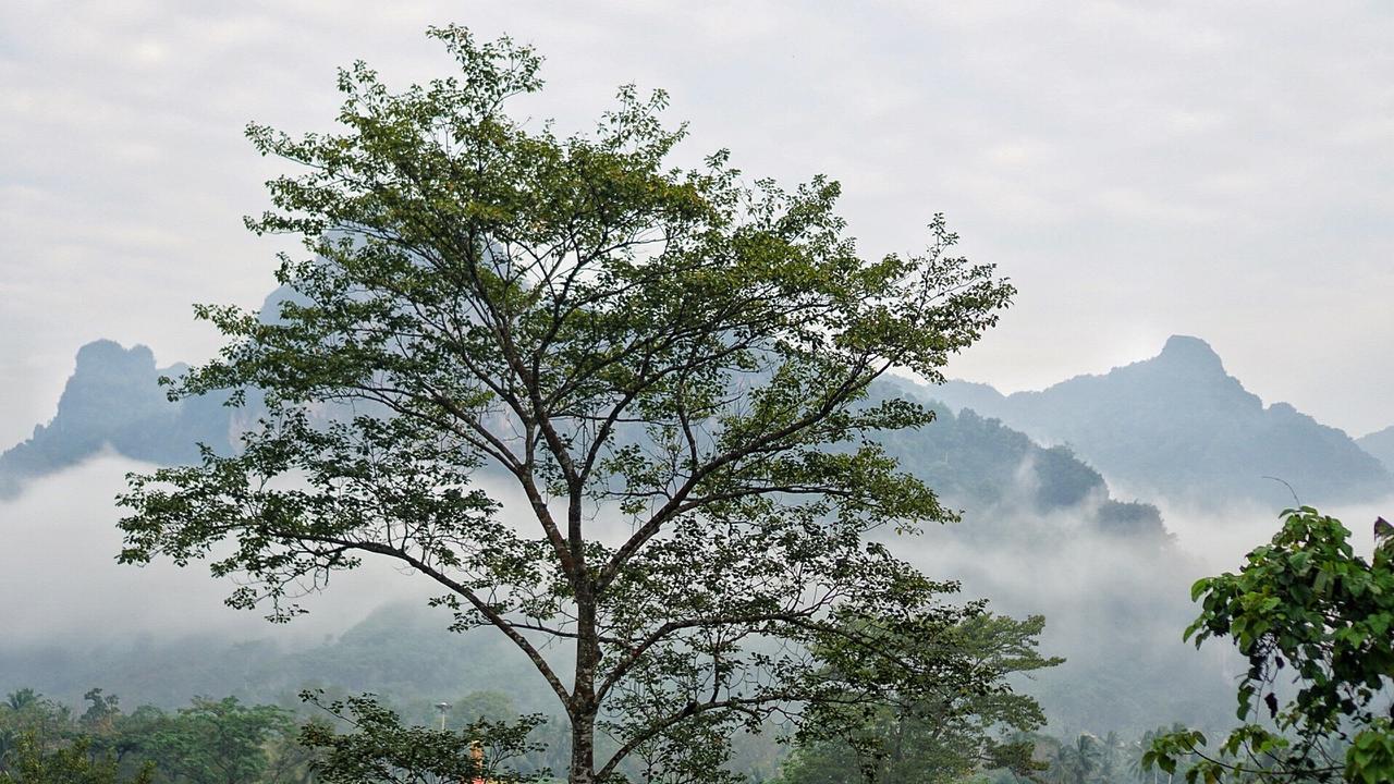 Khaowong Resort Phang Nga Dış mekan fotoğraf